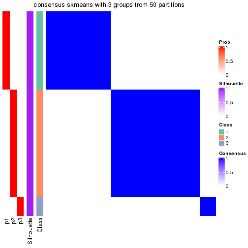 plot of chunk tab-node-031-consensus-heatmap-2