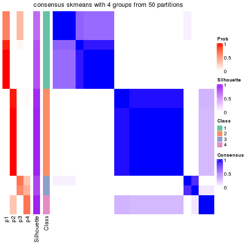 plot of chunk tab-node-031-consensus-heatmap-3