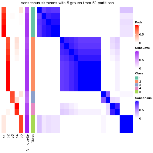 plot of chunk tab-node-031-consensus-heatmap-4