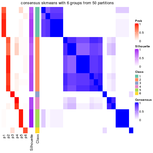 plot of chunk tab-node-031-consensus-heatmap-5