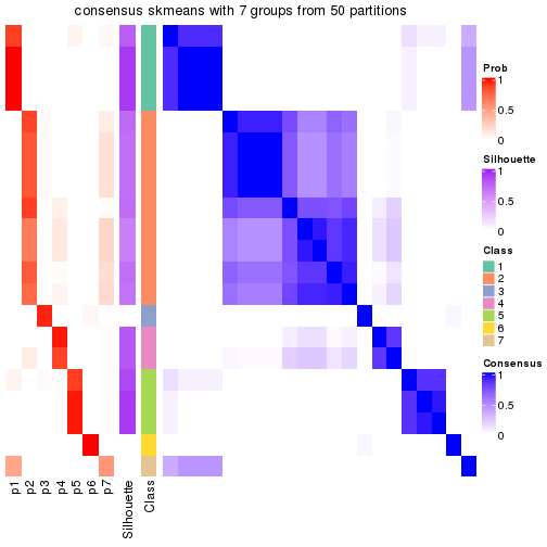 plot of chunk tab-node-031-consensus-heatmap-6