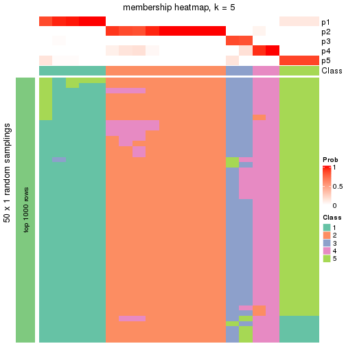 plot of chunk tab-node-031-membership-heatmap-4