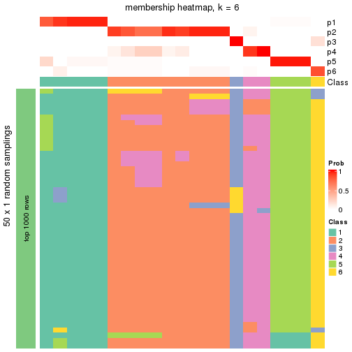 plot of chunk tab-node-031-membership-heatmap-5