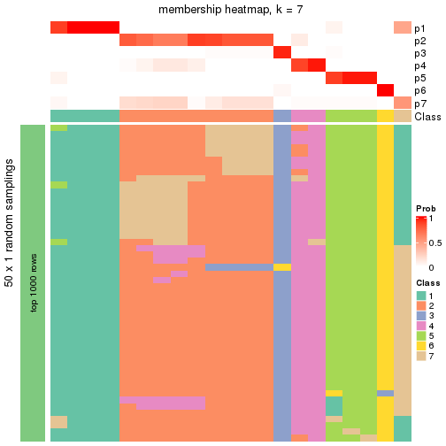 plot of chunk tab-node-031-membership-heatmap-6