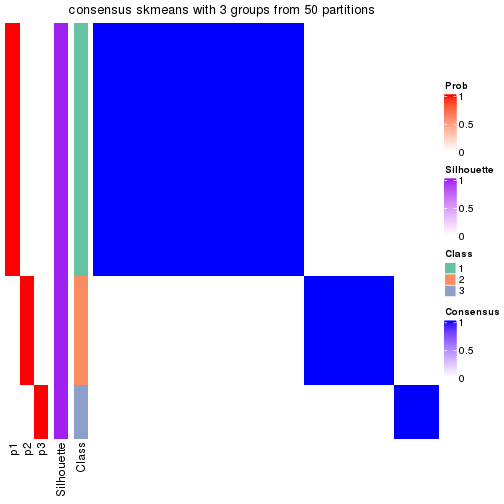 plot of chunk tab-node-032-consensus-heatmap-2