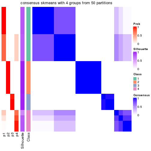 plot of chunk tab-node-032-consensus-heatmap-3