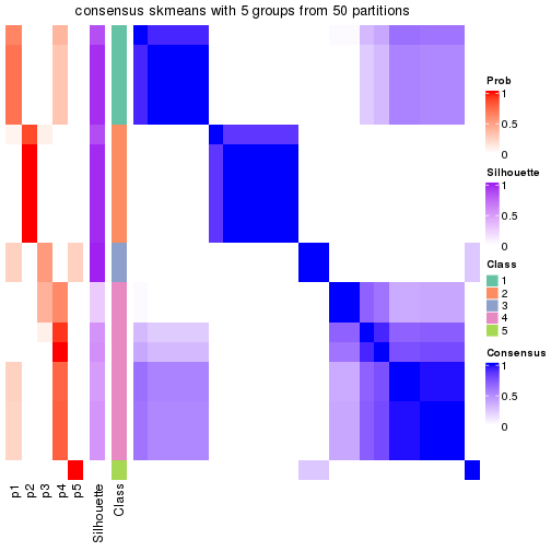 plot of chunk tab-node-032-consensus-heatmap-4