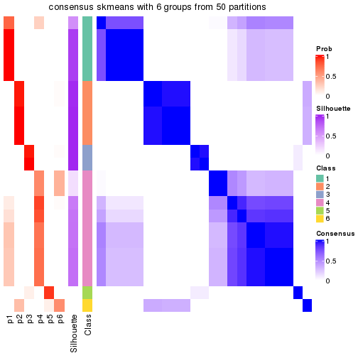 plot of chunk tab-node-032-consensus-heatmap-5