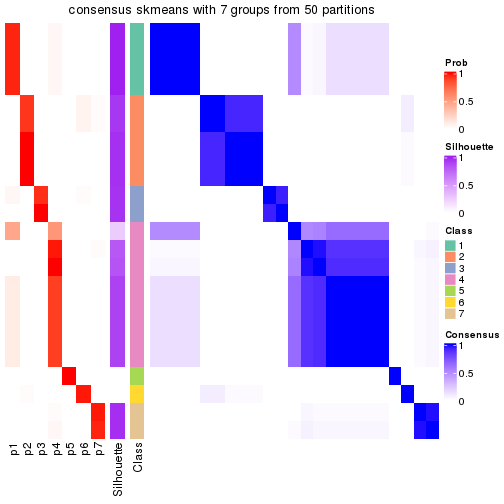 plot of chunk tab-node-032-consensus-heatmap-6