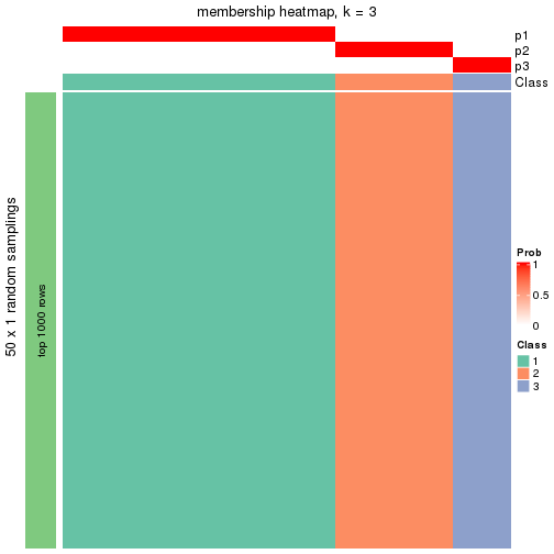 plot of chunk tab-node-032-membership-heatmap-2