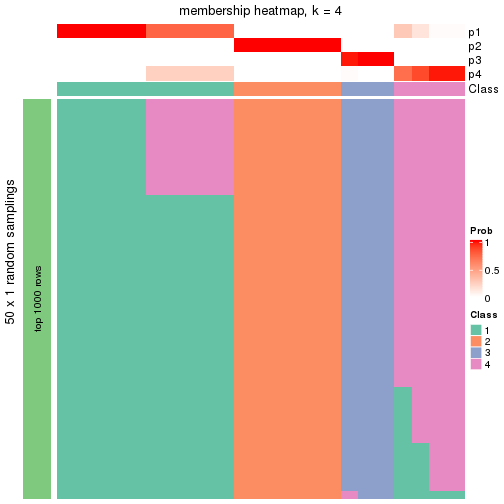 plot of chunk tab-node-032-membership-heatmap-3