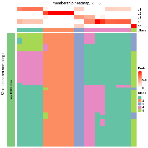 plot of chunk tab-node-032-membership-heatmap-4