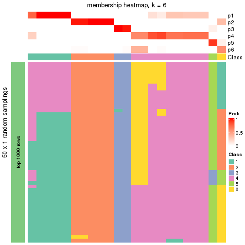 plot of chunk tab-node-032-membership-heatmap-5