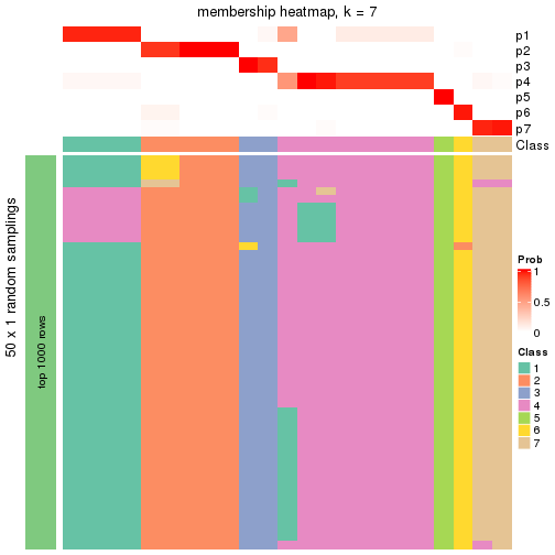 plot of chunk tab-node-032-membership-heatmap-6