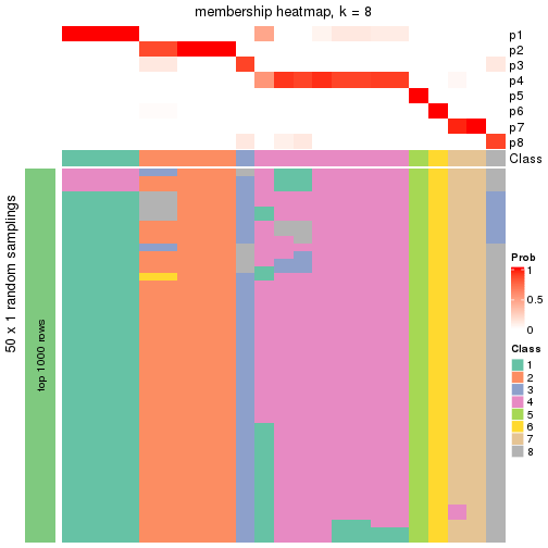 plot of chunk tab-node-032-membership-heatmap-7