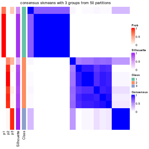 plot of chunk tab-node-034-consensus-heatmap-2