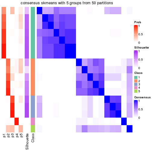 plot of chunk tab-node-034-consensus-heatmap-4