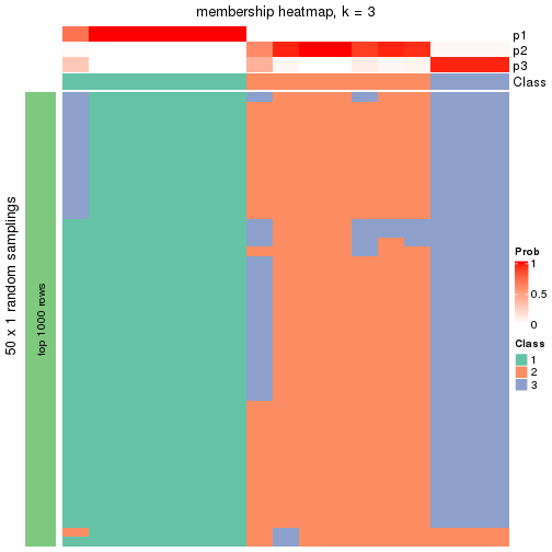 plot of chunk tab-node-034-membership-heatmap-2