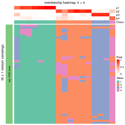 plot of chunk tab-node-034-membership-heatmap-3