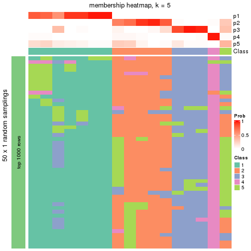 plot of chunk tab-node-034-membership-heatmap-4