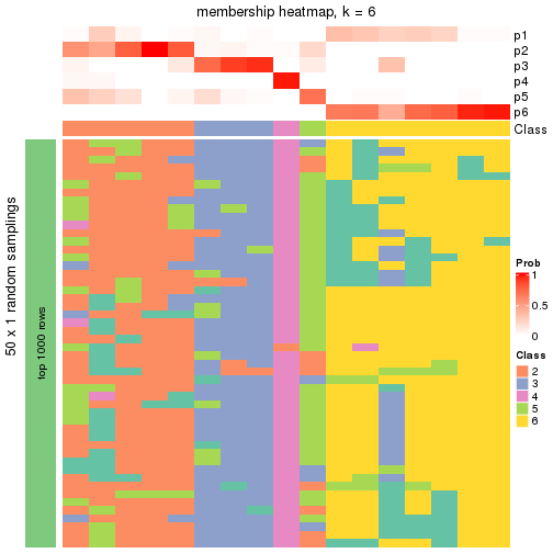 plot of chunk tab-node-034-membership-heatmap-5