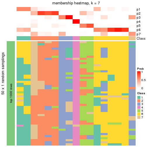 plot of chunk tab-node-034-membership-heatmap-6