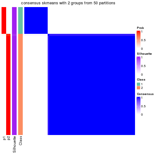 plot of chunk tab-node-04-consensus-heatmap-1