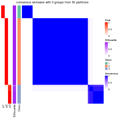 plot of chunk tab-node-04-consensus-heatmap-2