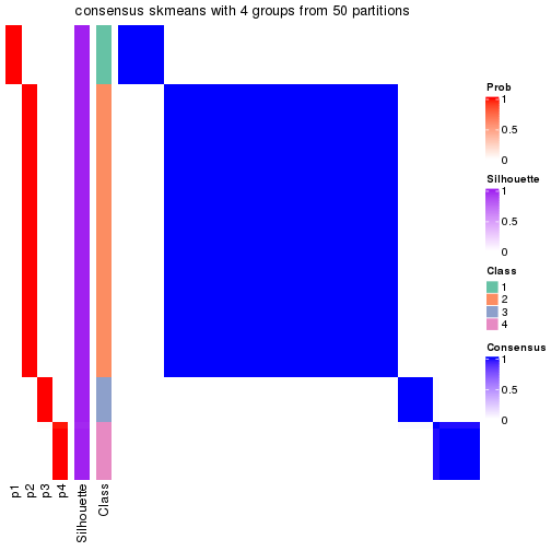 plot of chunk tab-node-04-consensus-heatmap-3