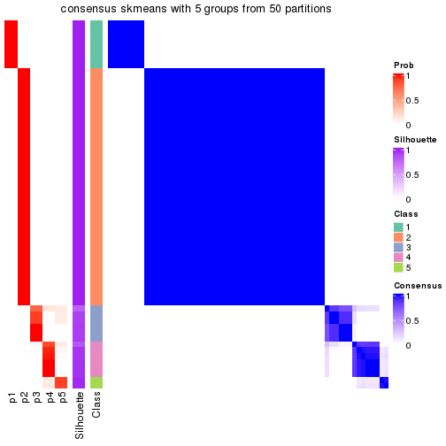 plot of chunk tab-node-04-consensus-heatmap-4