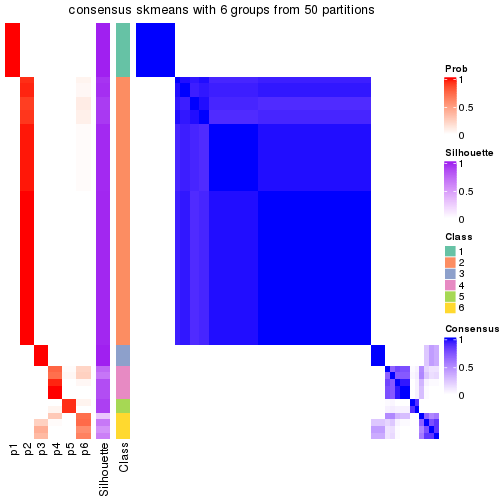 plot of chunk tab-node-04-consensus-heatmap-5