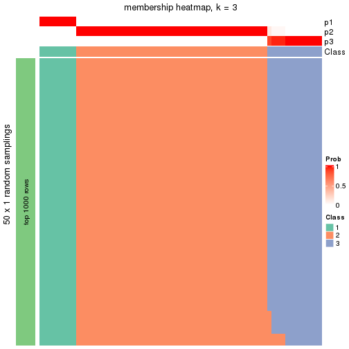 plot of chunk tab-node-04-membership-heatmap-2