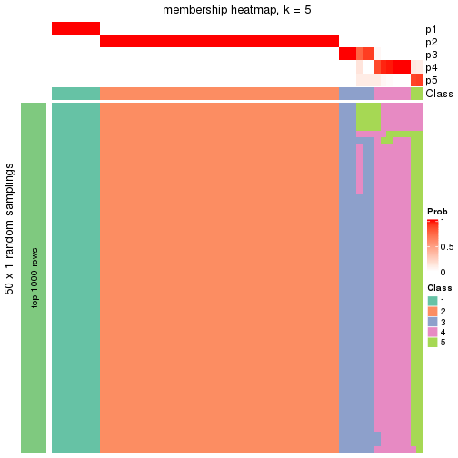 plot of chunk tab-node-04-membership-heatmap-4