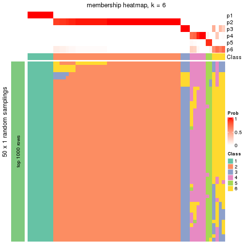 plot of chunk tab-node-04-membership-heatmap-5