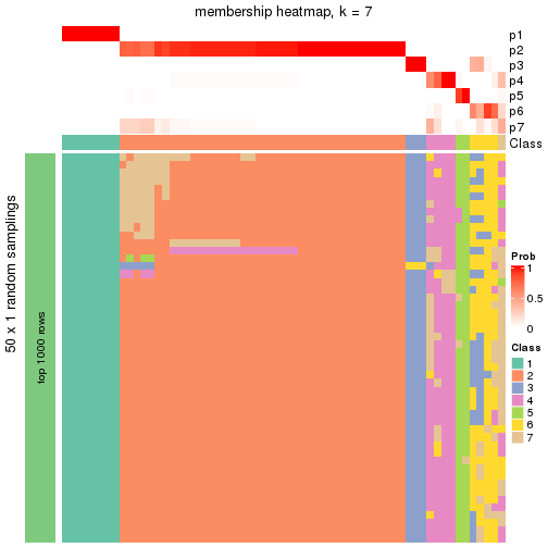 plot of chunk tab-node-04-membership-heatmap-6