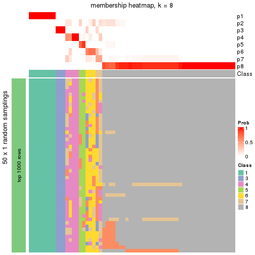 plot of chunk tab-node-04-membership-heatmap-7