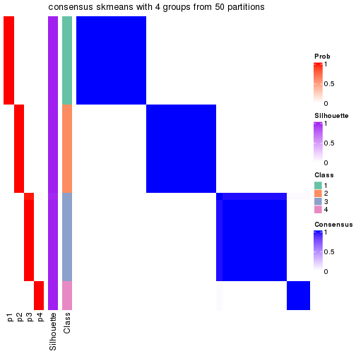 plot of chunk tab-node-042-consensus-heatmap-3