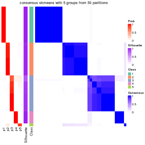 plot of chunk tab-node-042-consensus-heatmap-4