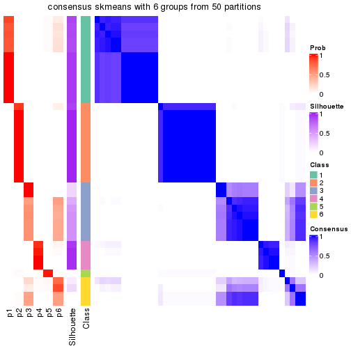 plot of chunk tab-node-042-consensus-heatmap-5