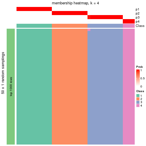 plot of chunk tab-node-042-membership-heatmap-3