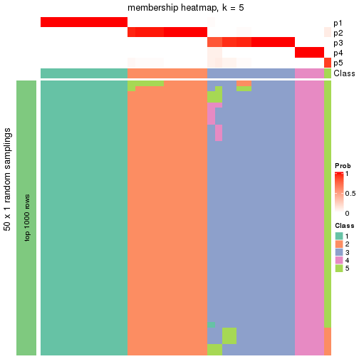 plot of chunk tab-node-042-membership-heatmap-4