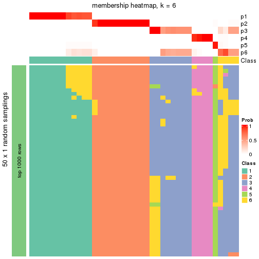 plot of chunk tab-node-042-membership-heatmap-5