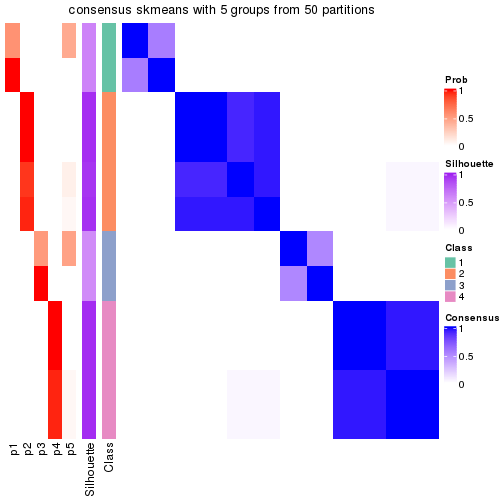 plot of chunk tab-node-0422-consensus-heatmap-4