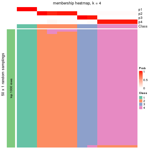 plot of chunk tab-node-0422-membership-heatmap-3