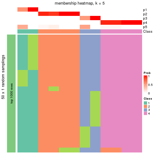 plot of chunk tab-node-0422-membership-heatmap-4