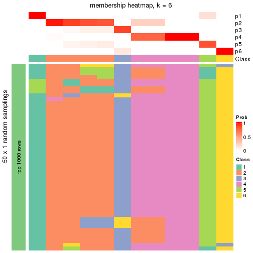 plot of chunk tab-node-0422-membership-heatmap-5