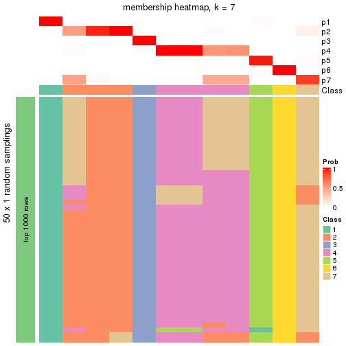 plot of chunk tab-node-0422-membership-heatmap-6