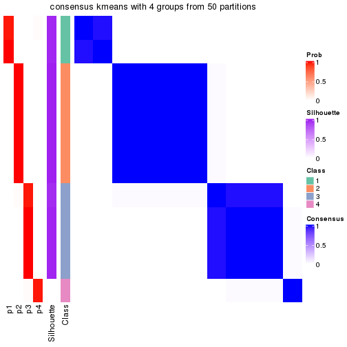 plot of chunk tab-node-0423-consensus-heatmap-3