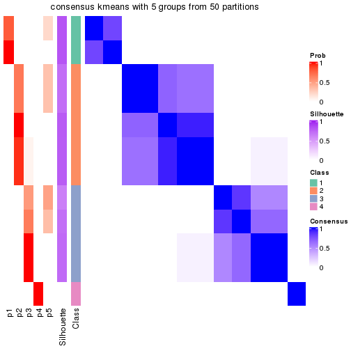 plot of chunk tab-node-0423-consensus-heatmap-4