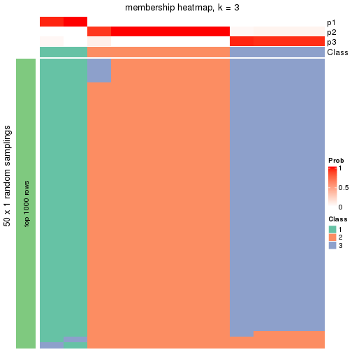 plot of chunk tab-node-0423-membership-heatmap-2